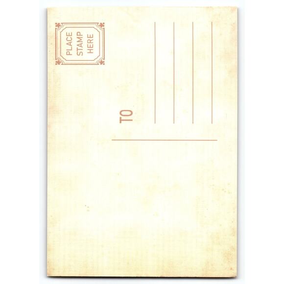 Vintage Halloween Photochrome Postcard Skeleton Holding Pumpkin 5.5x4" - Picture 2 of 2